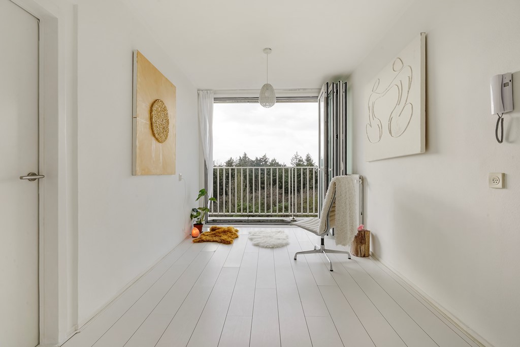 Anna Paulownalaan 172_18.jpg